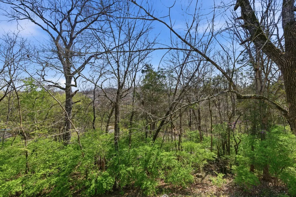 413 Oak Forge Dr Antioch, TN 37013