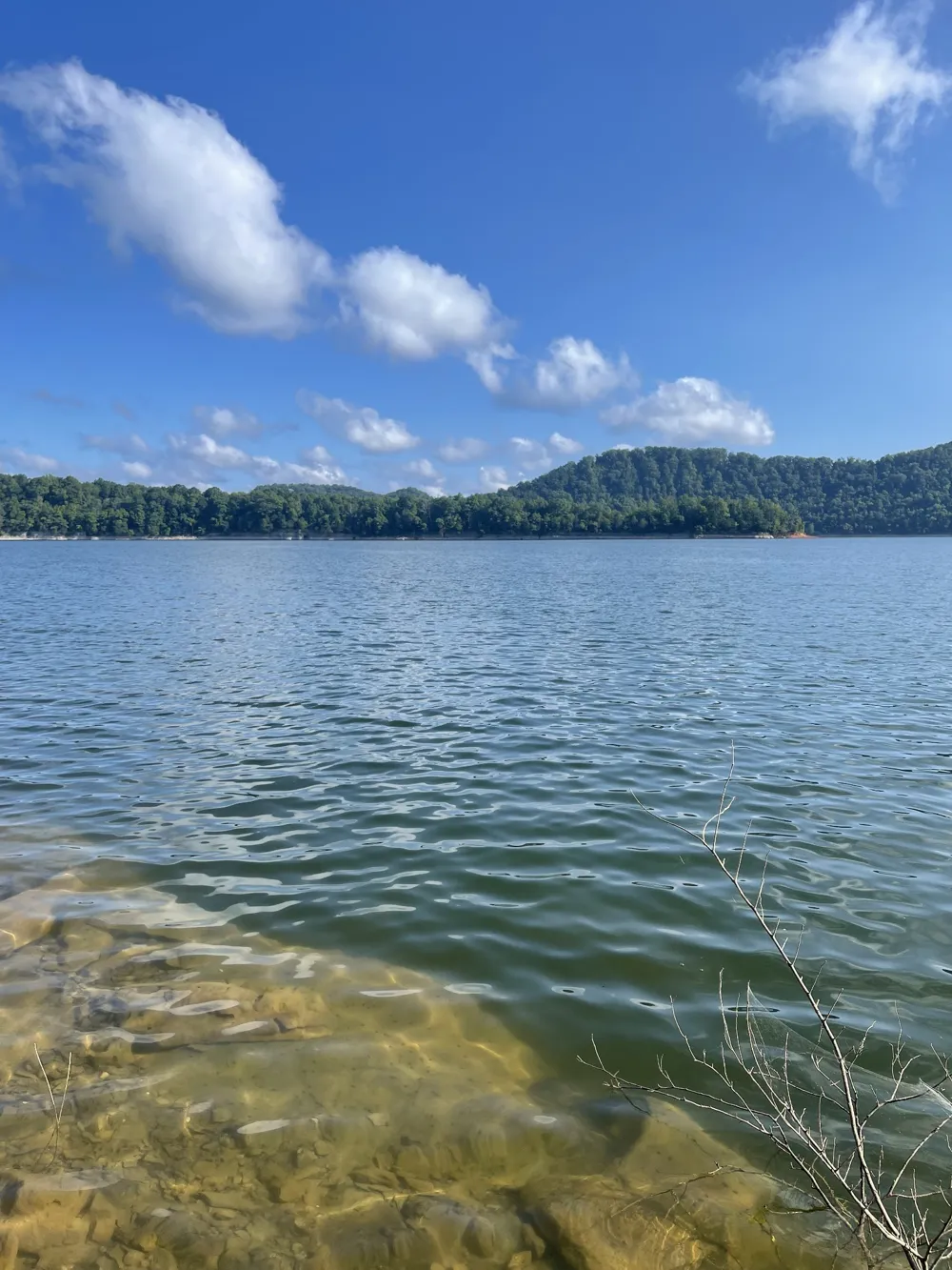 470 Askin Ln Baxter, TN 38544