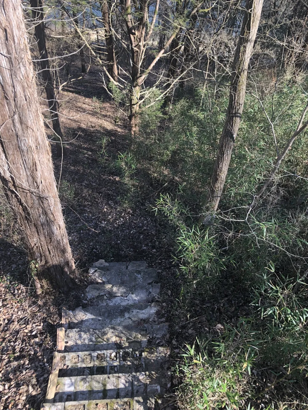 470 Askin Ln Baxter, TN 38544