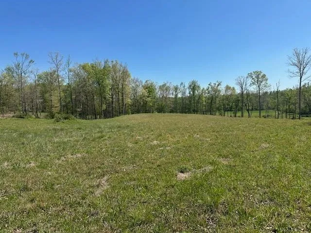 0 PEAR BLOSSOM LN Adamsville, TN 38310