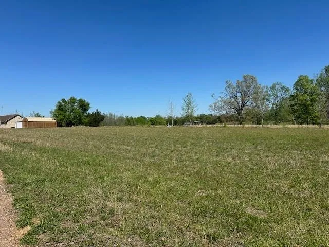 0 PEAR BLOSSOM LN Adamsville, TN 38310