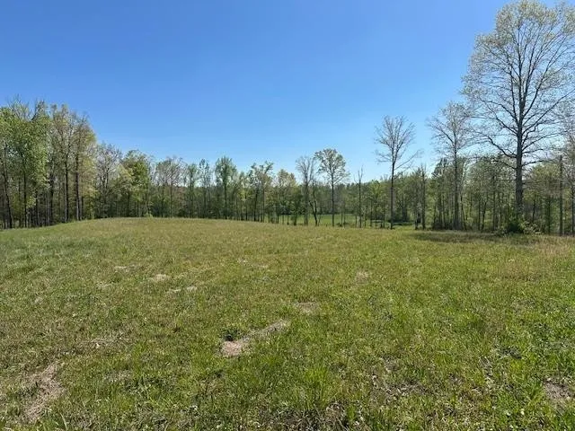 0 PEAR BLOSSOM LN Adamsville, TN 38310