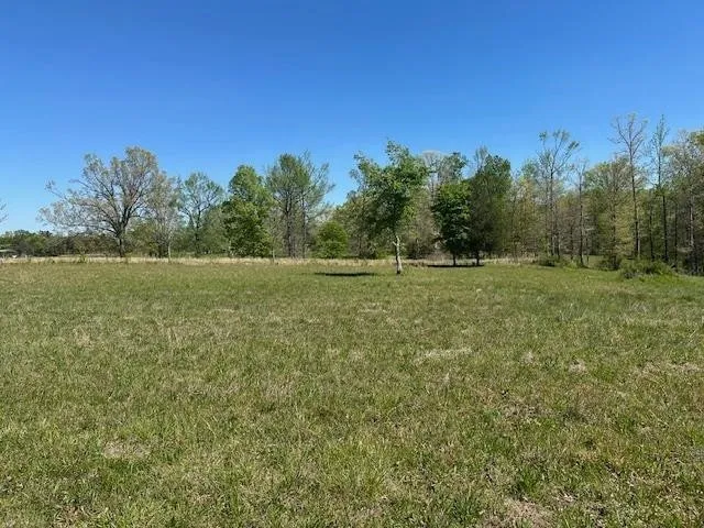 0 PEAR BLOSSOM LN Adamsville, TN 38310