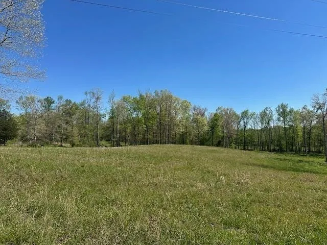 0 PEAR BLOSSOM LN Adamsville, TN 38310