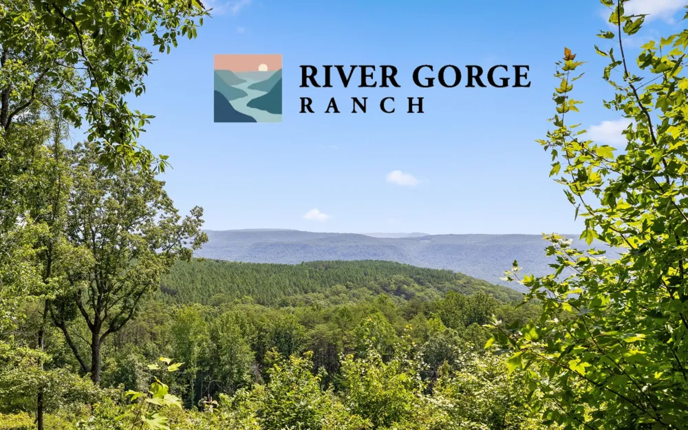 2225 High Ground Road Guild, TN 37340