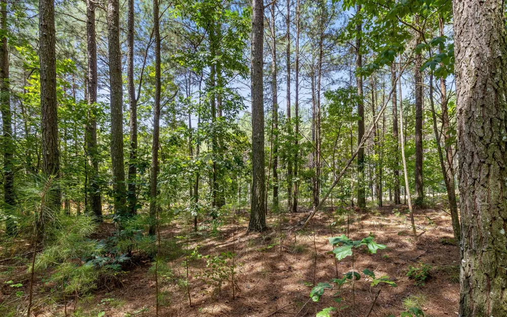 2225 High Ground Road Guild, TN 37340