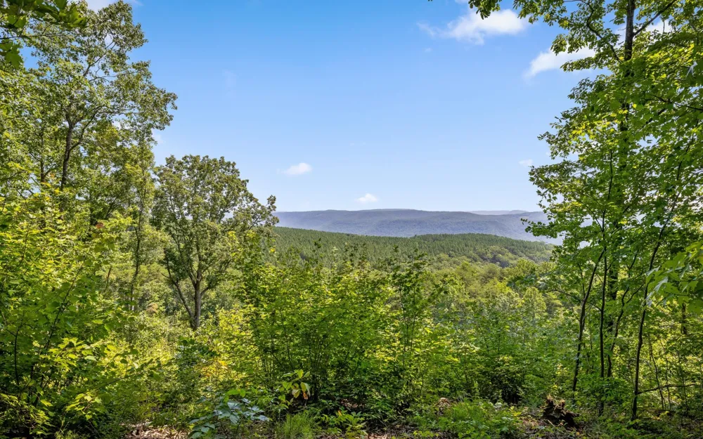 2225 High Ground Road Guild, TN 37340