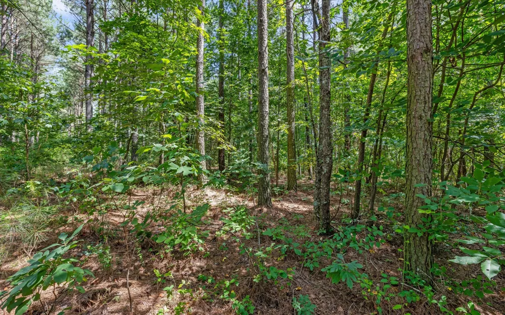 2225 High Ground Road Guild, TN 37340