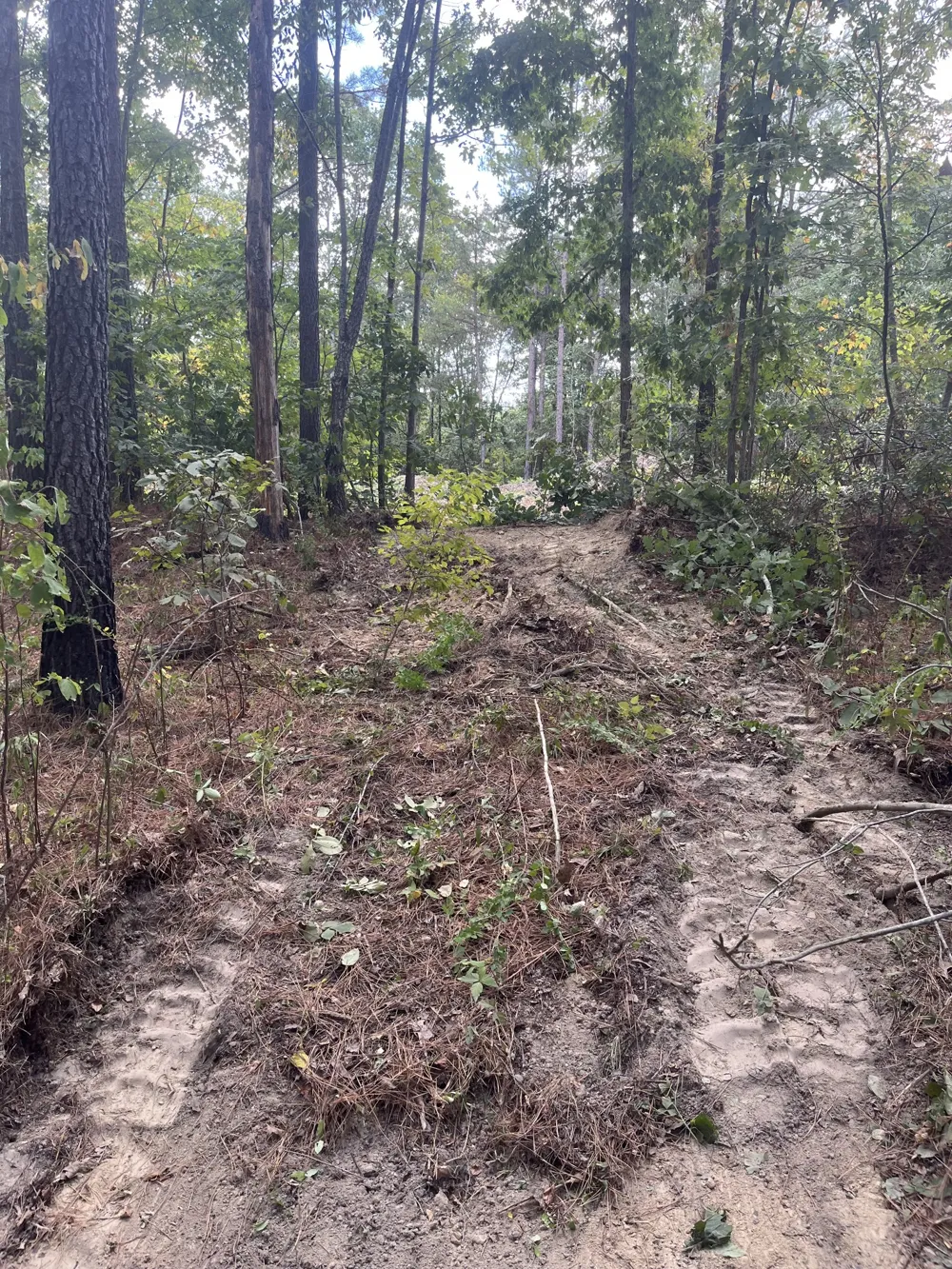 0 Old Mail Road Duck River, TN 38454