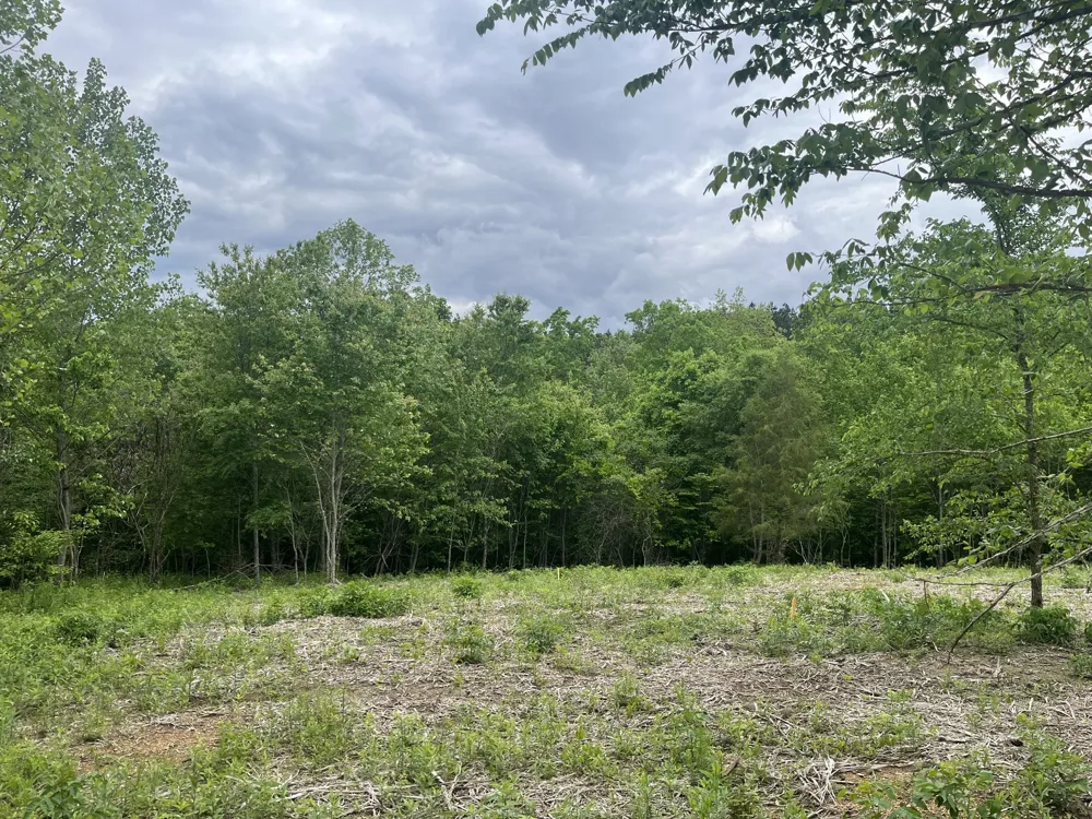 0 Old Mail Road Duck River, TN 38454