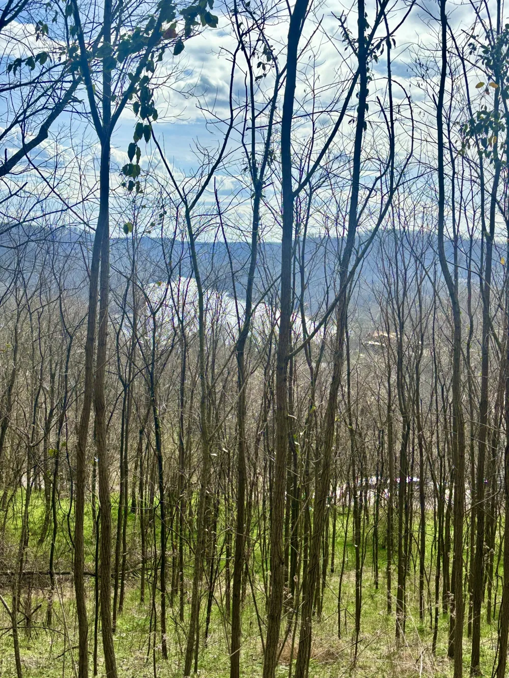 323 Seaton Dr Smithville, TN 37166