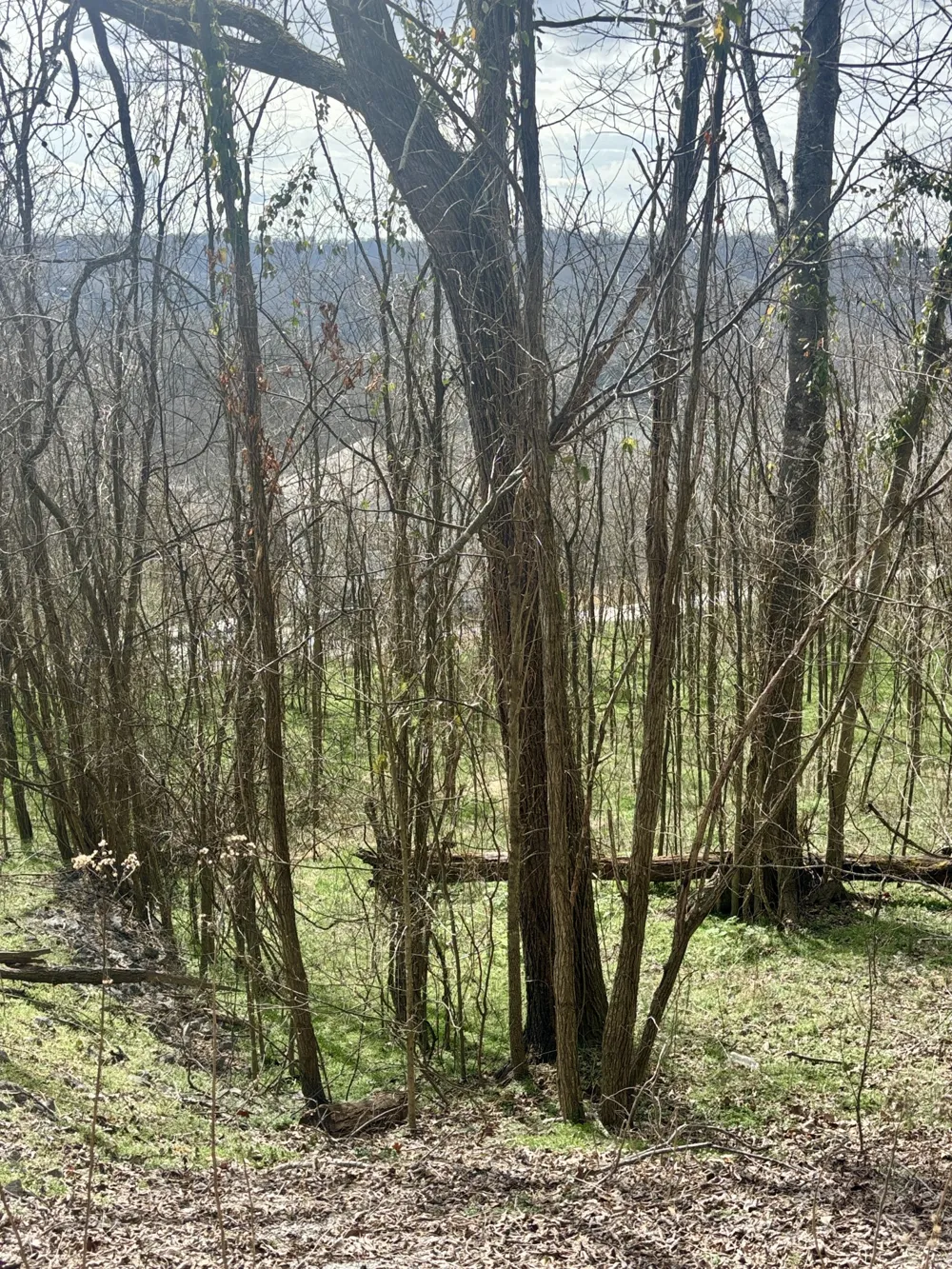 323 Seaton Dr Smithville, TN 37166