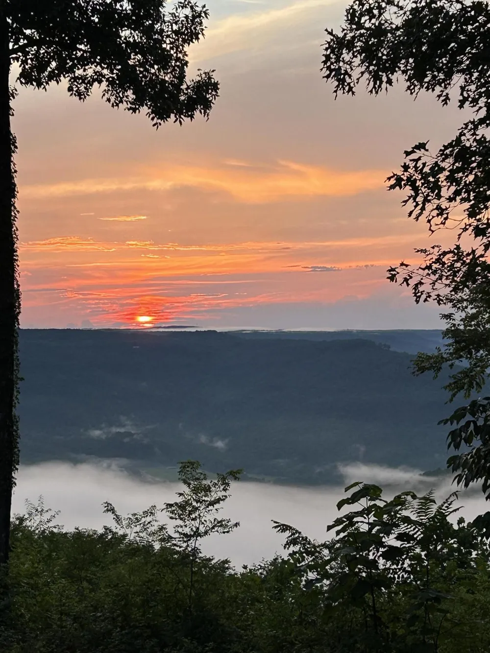 755 Sunset Circle Jasper, TN 37347