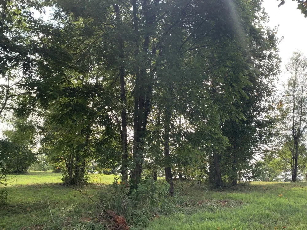 755 Sunset Circle Jasper, TN 37347