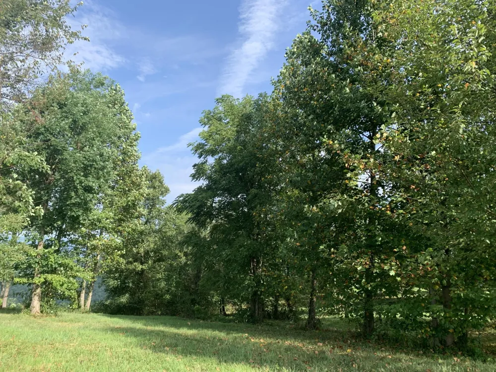 755 Sunset Circle Jasper, TN 37347