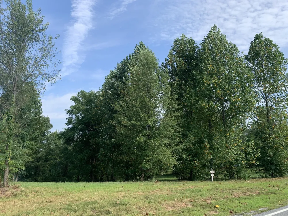 755 Sunset Circle Jasper, TN 37347