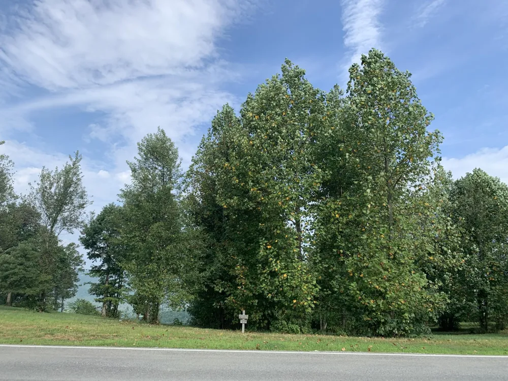 755 Sunset Circle Jasper, TN 37347