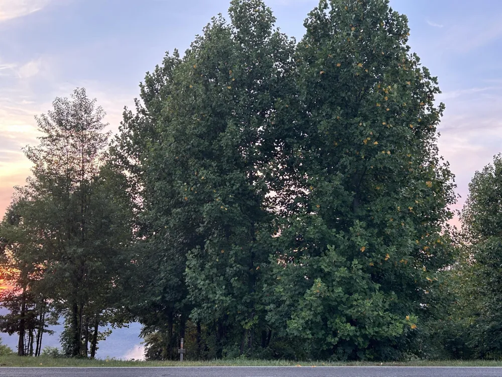 755 Sunset Circle Jasper, TN 37347