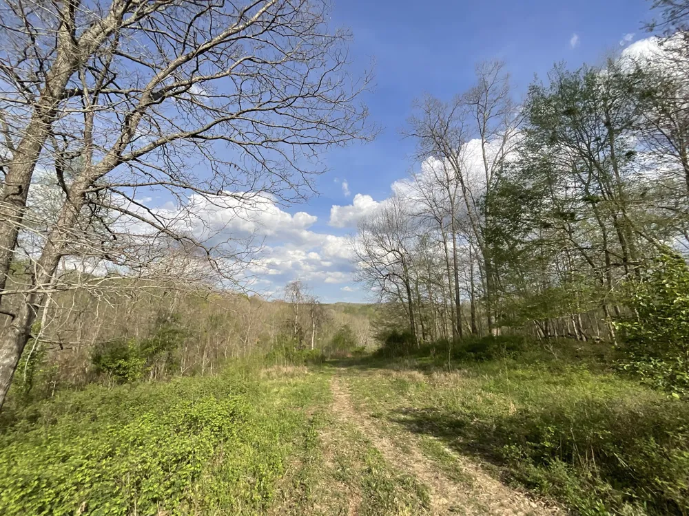 2 Bud Parker Lane Erin, TN 37061