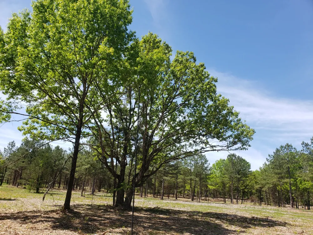 0 Kedron Rd Spring Hill, TN 37174