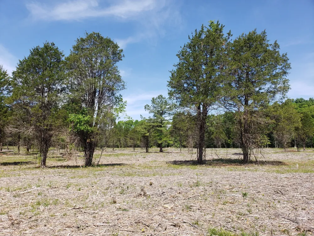 0 Kedron Rd Spring Hill, TN 37174