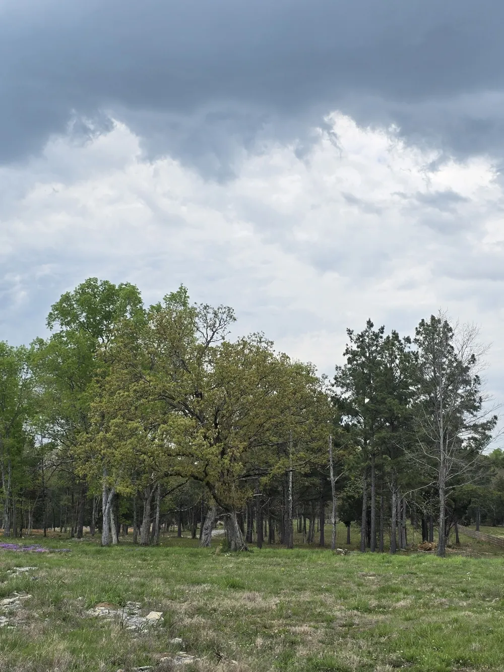 0 Kedron Rd Spring Hill, TN 37174