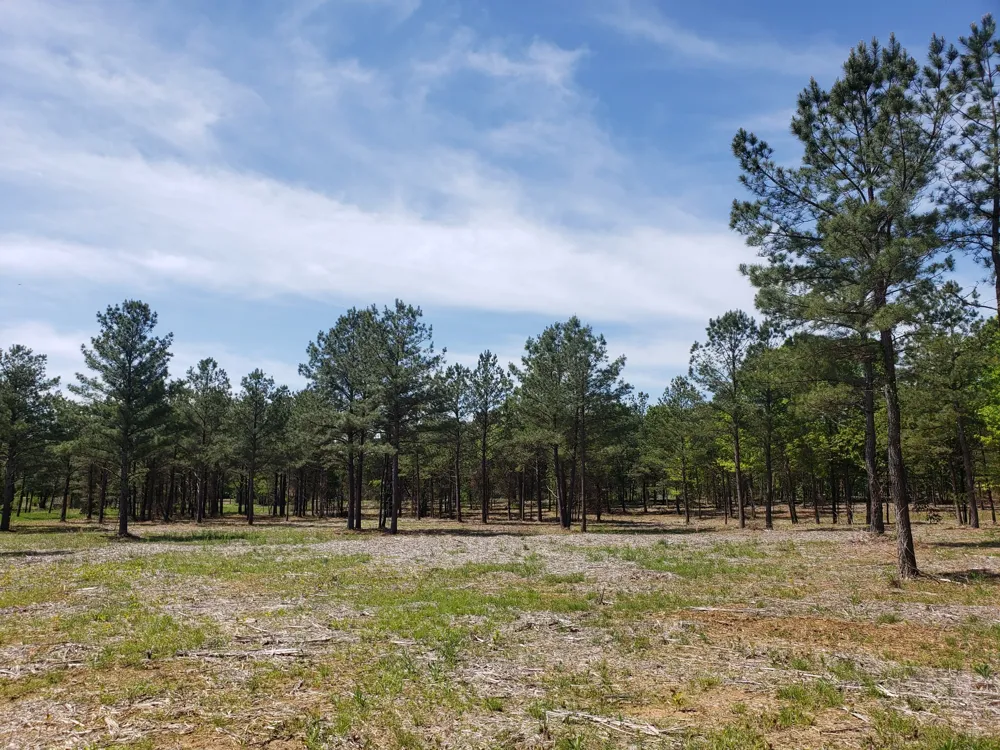 0 Kedron Rd Spring Hill, TN 37174