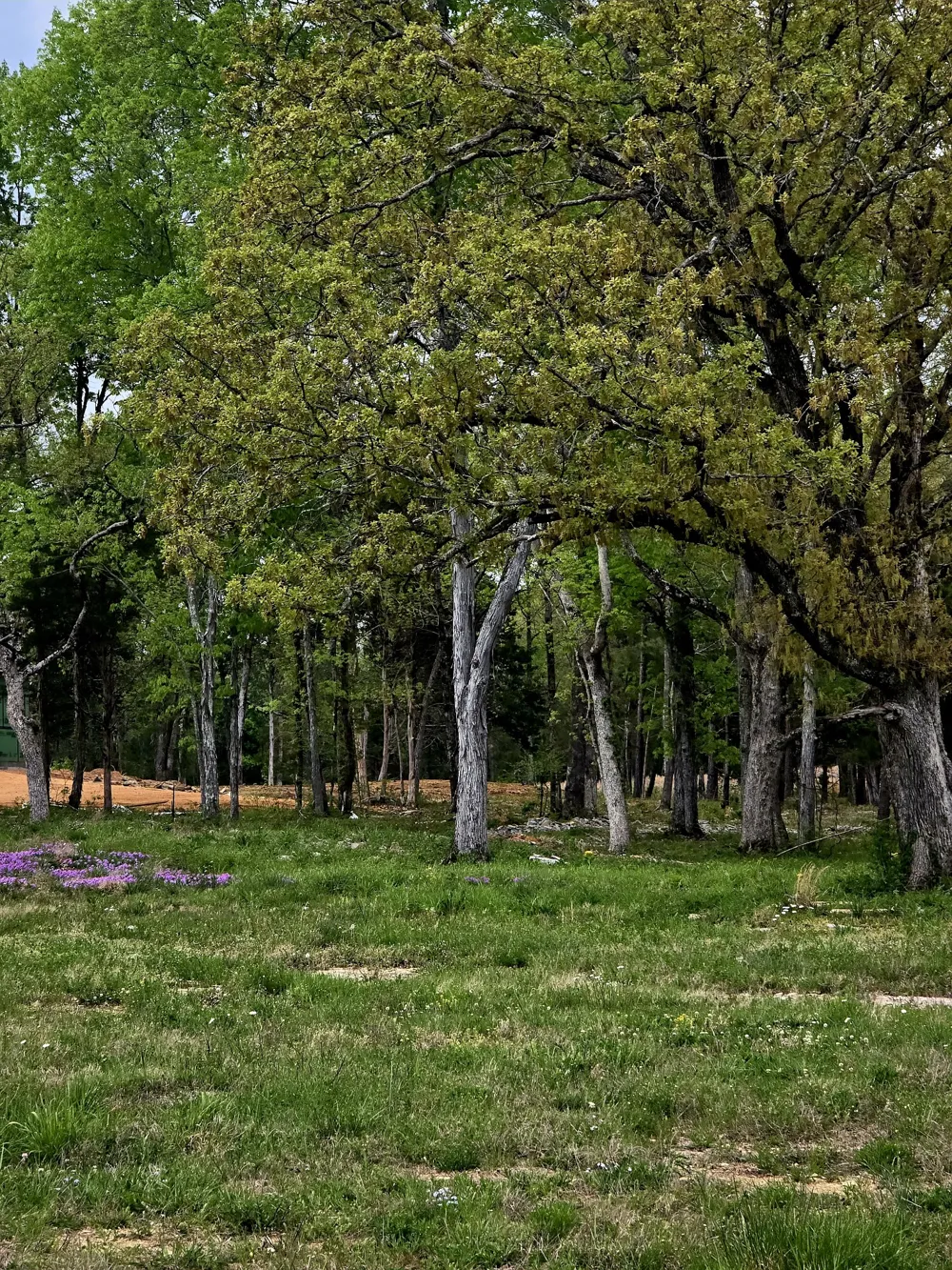 0 Kedron Rd Spring Hill, TN 37174