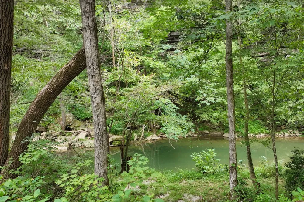 1045 Jones Mill Rd Smithville, TN 37166
