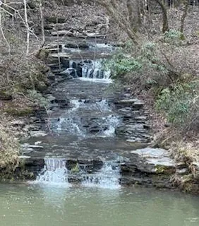 1045 Jones Mill Rd Smithville, TN 37166
