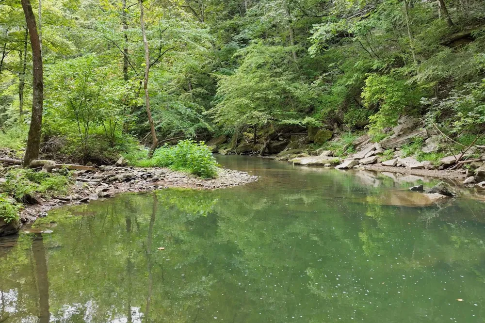 1045 Jones Mill Rd Smithville, TN 37166
