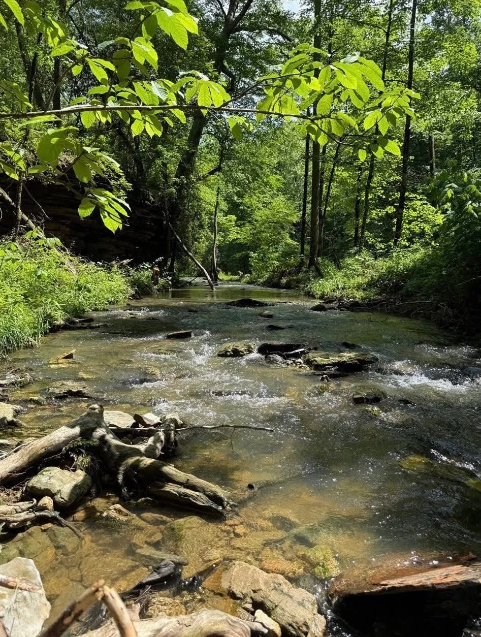 1045 Jones Mill Rd Smithville, TN 37166