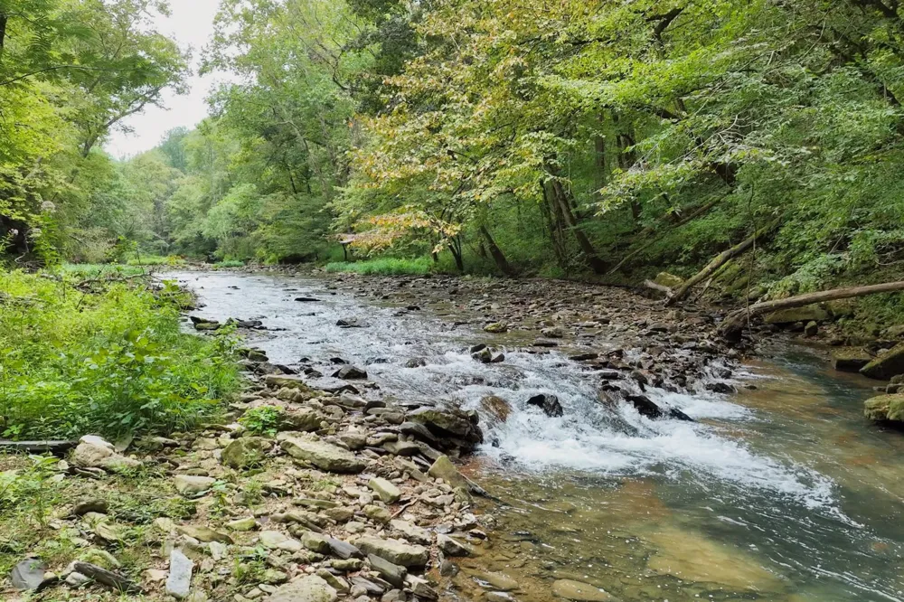 1045 Jones Mill Rd Smithville, TN 37166