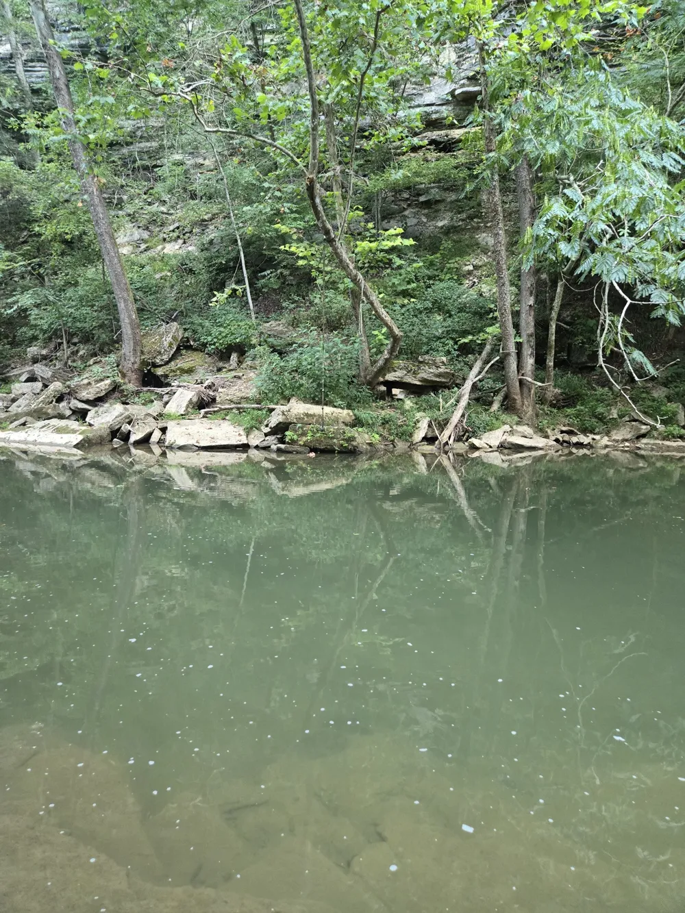 1045 Jones Mill Rd Smithville, TN 37166