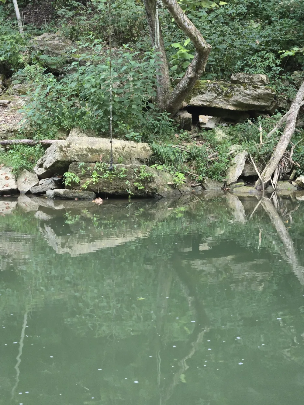 1045 Jones Mill Rd Smithville, TN 37166