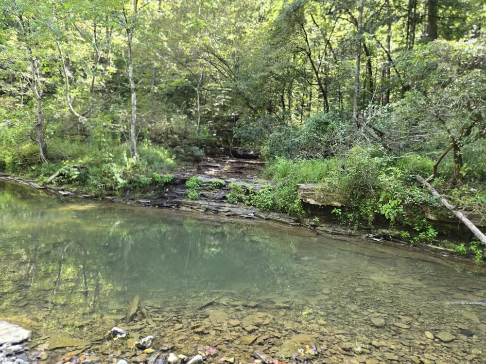 1045 Jones Mill Rd Smithville, TN 37166