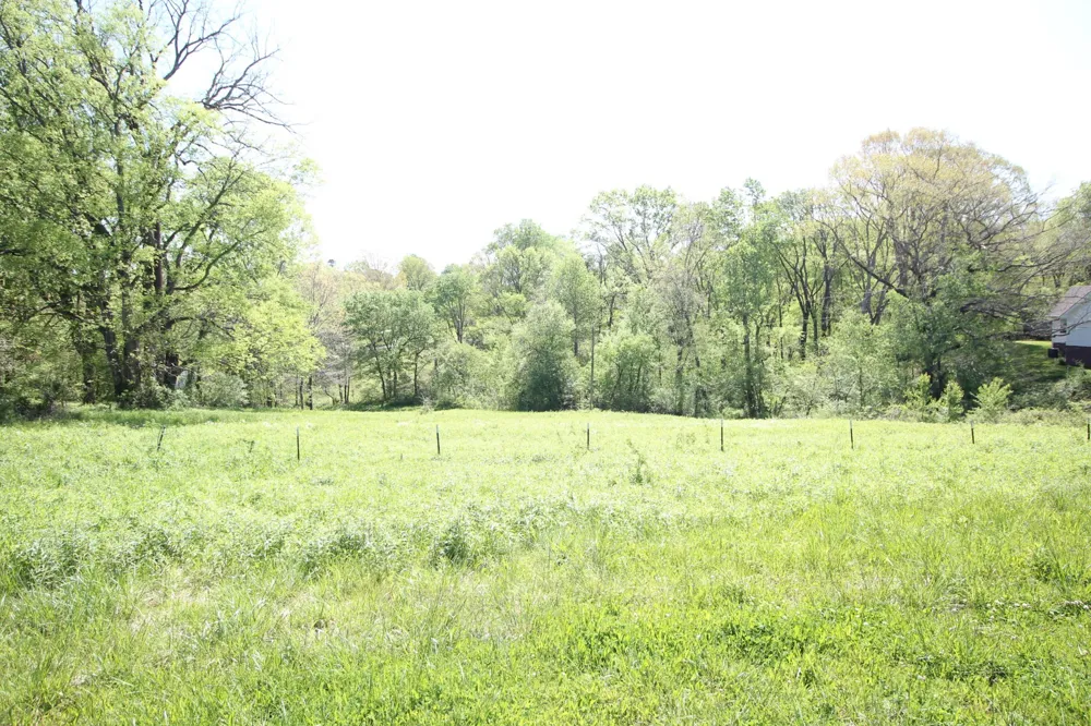 0 Mount Olivet Road Columbia, TN 38401