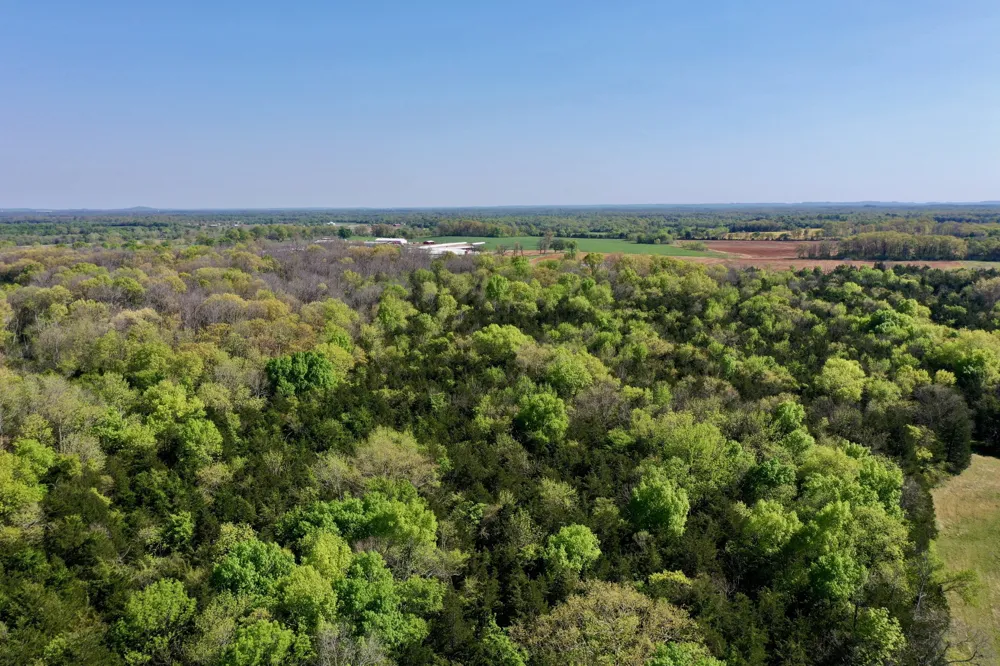 0 Cedar Grove Rd S Chapel Hill, TN 37034