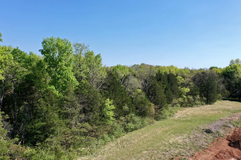 0 Cedar Grove Rd S Chapel Hill, TN 37034