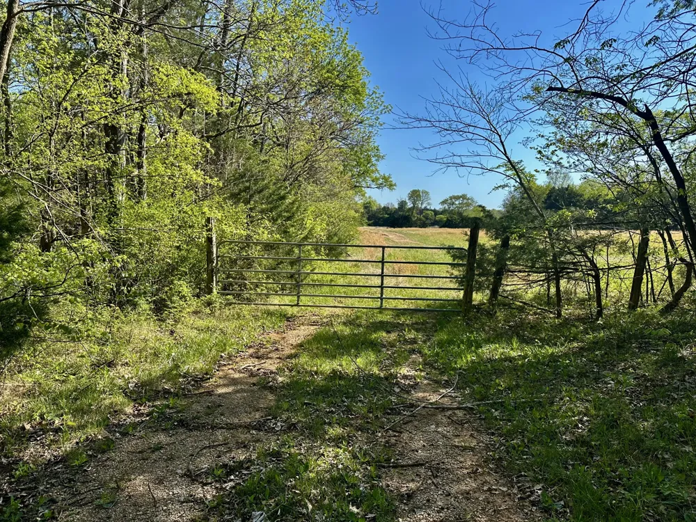 0 Cedar Grove Rd S Chapel Hill, TN 37034
