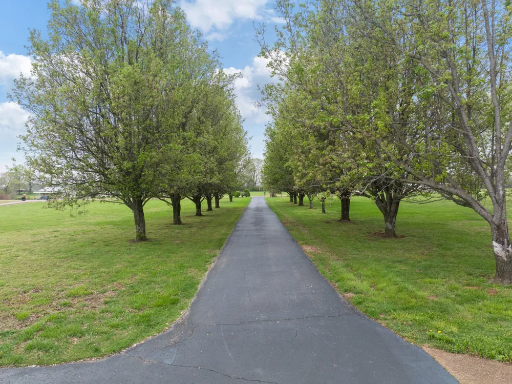 6544 Highway 436 Mc Kenzie, TN 38201