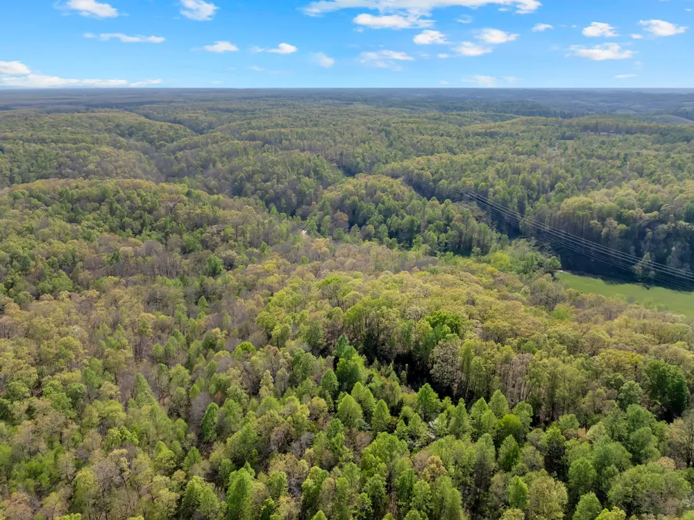 551 Shippmans Creek Rd Wartrace, TN 37183