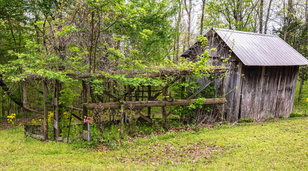 772 Salmon Branch Rd Erin, TN 37061