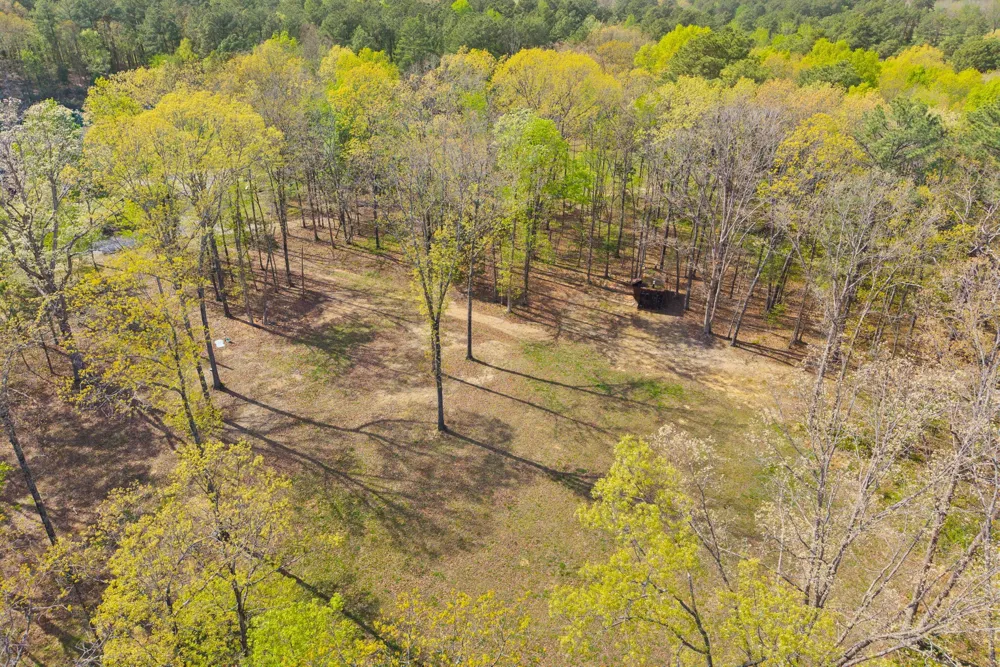 1549 Trace Creek Rd Mc Ewen, TN 37101