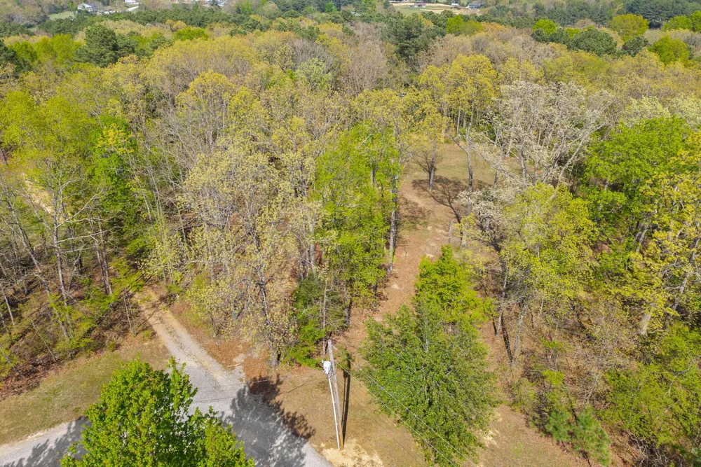 1549 Trace Creek Rd Mc Ewen, TN 37101