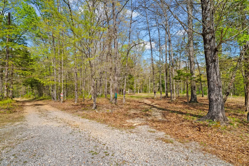 1549 Trace Creek Rd Mc Ewen, TN 37101