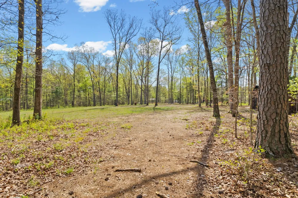1549 Trace Creek Rd Mc Ewen, TN 37101
