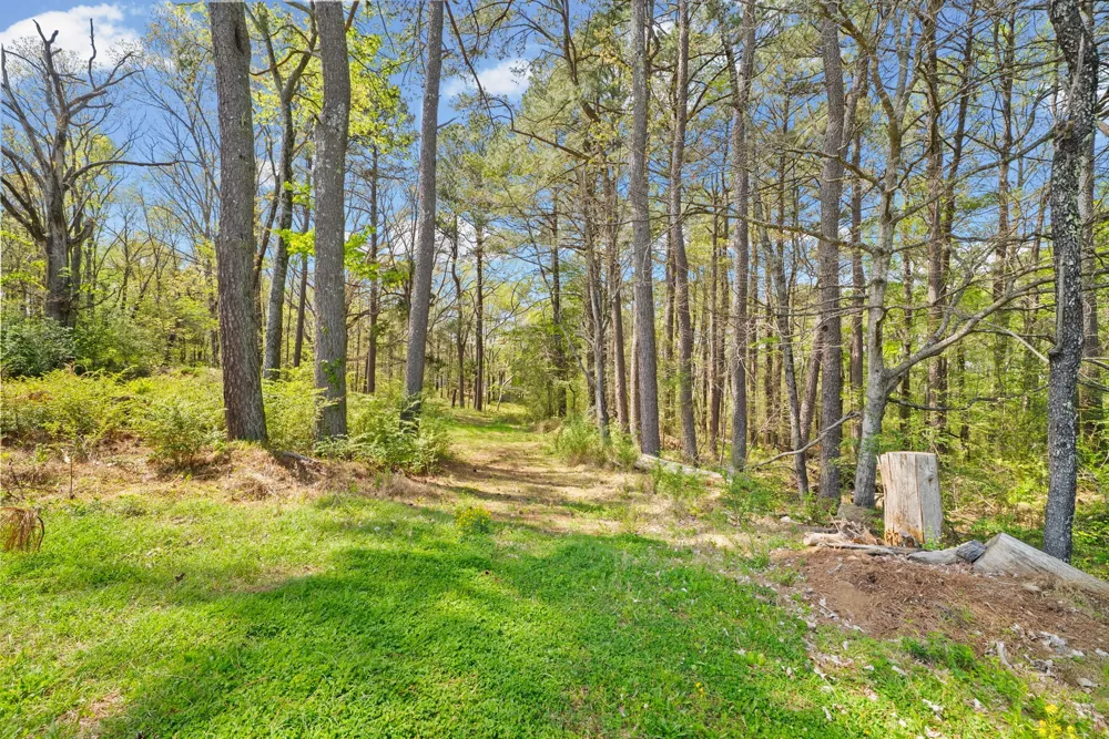 1549 Trace Creek Rd Mc Ewen, TN 37101