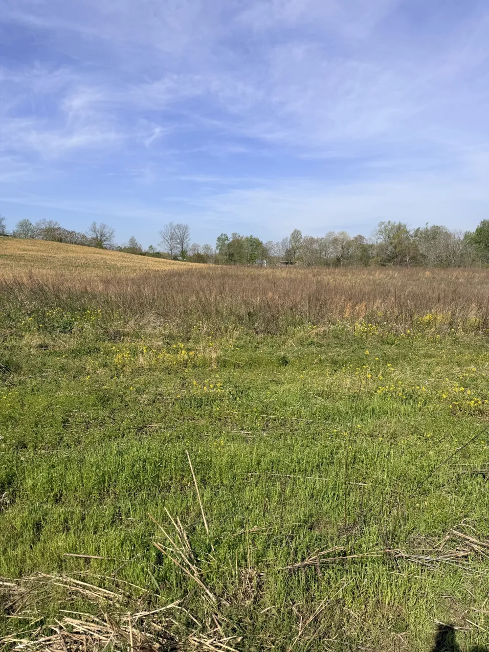 0 Oakmere Ln Lafayette, TN 37083