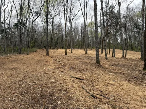 0 Saddle Lane